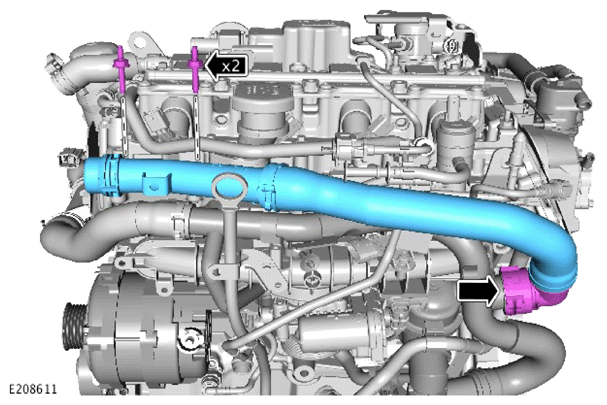 G15618366