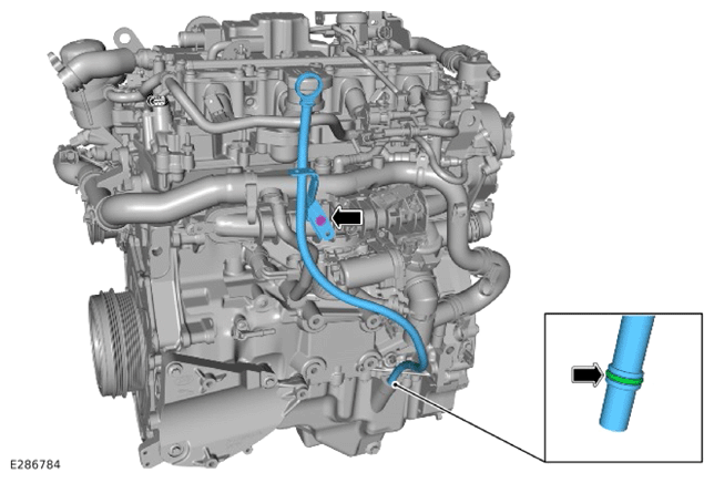 G15618438