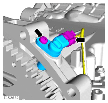 G15618560