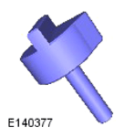 G15618569