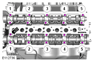 G15618602