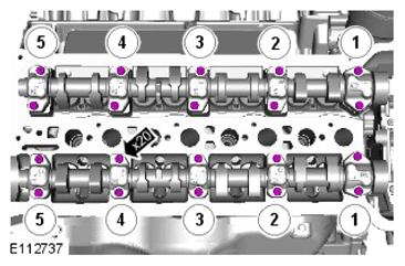 G15618606