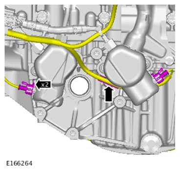 G15618915