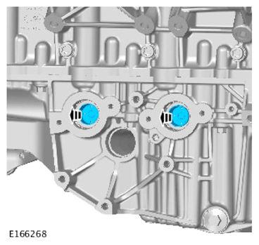 G15618926