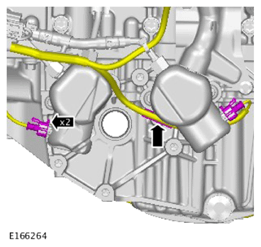 G15618972