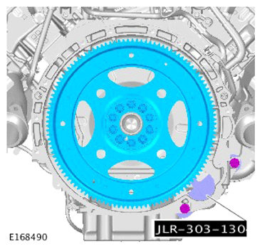 G15619016