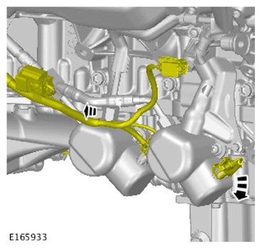 G15619052