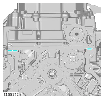 G15619081