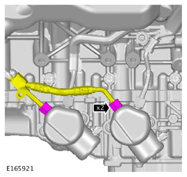 G15619096