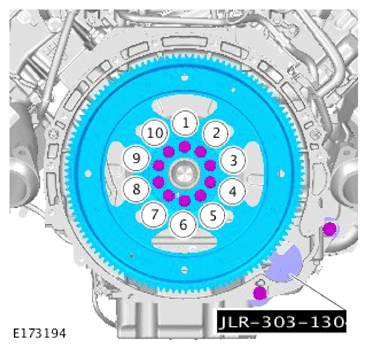 G15619115