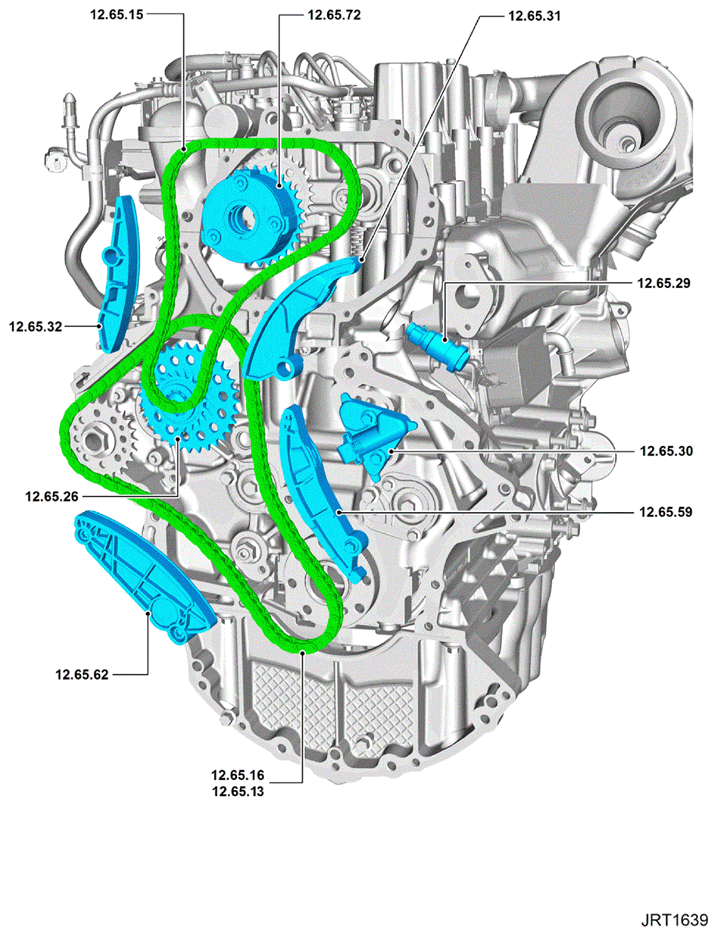 G15619164