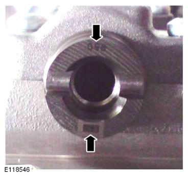 G15619190