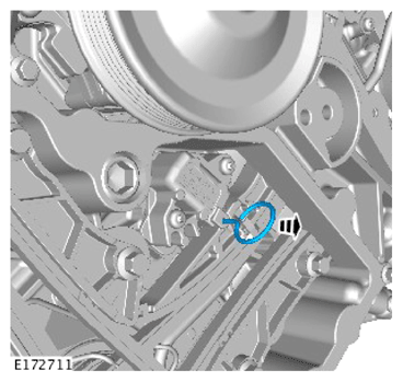 G15619199