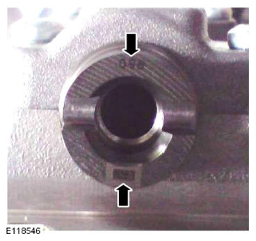 G15619203
