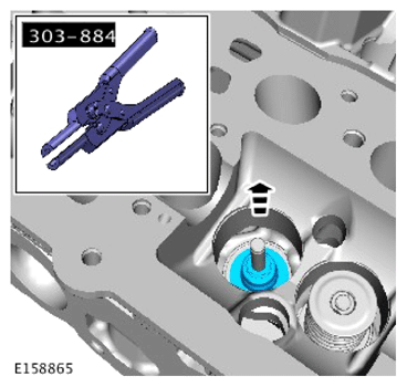 G15619262