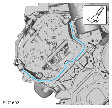 G15619296