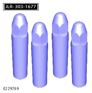 G15619519