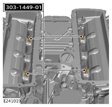 G15619560