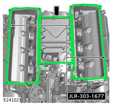 G15619562