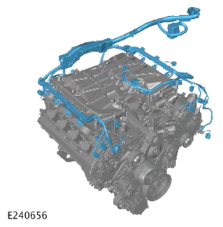 G15619586