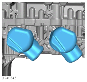 G15619596