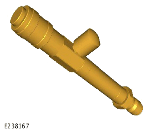 G15620656