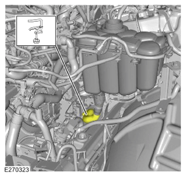 G15620671