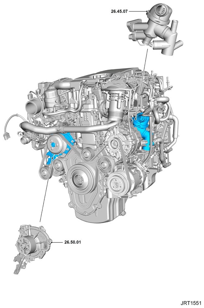 G15620786