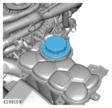 G15620820