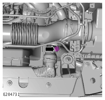 G15620828