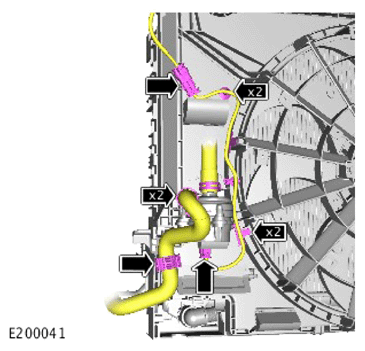 G15620884
