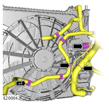 G15620885
