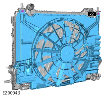 G15620886