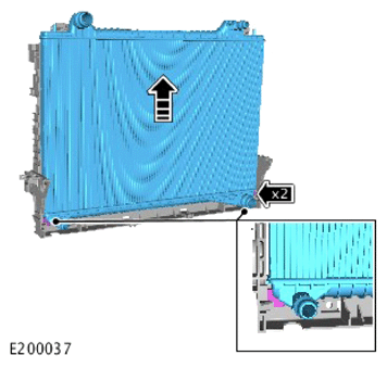 G15620910