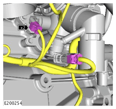 G15620921