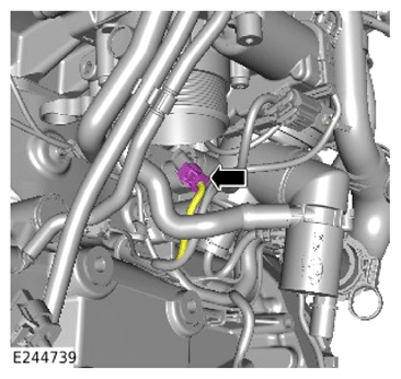 G15620953