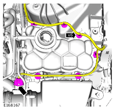 G15621105