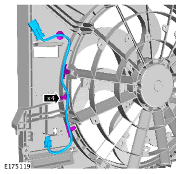 G15621126