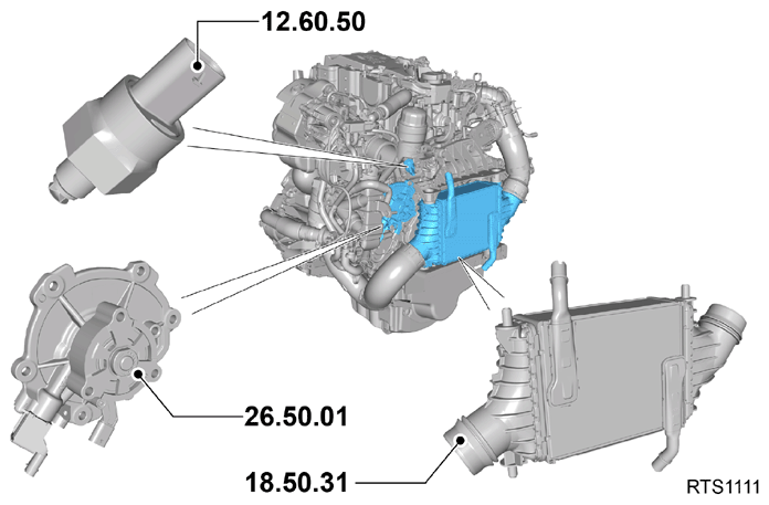 G15621128