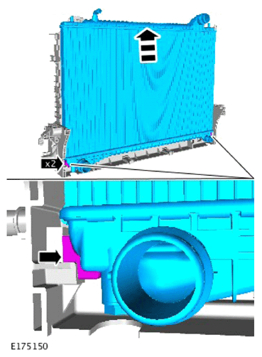 G15621147