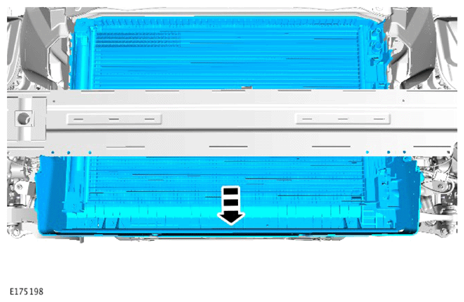 G15621183