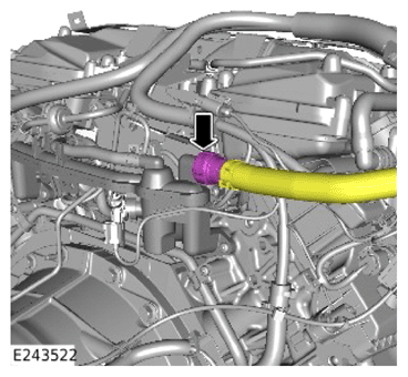 G15621185