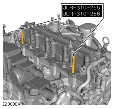 G15621290
