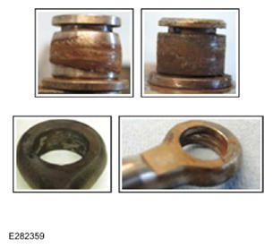 G15621333