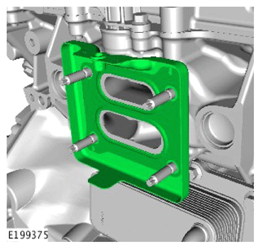 G15621358