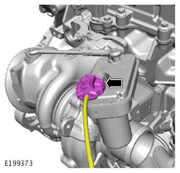 G15621362