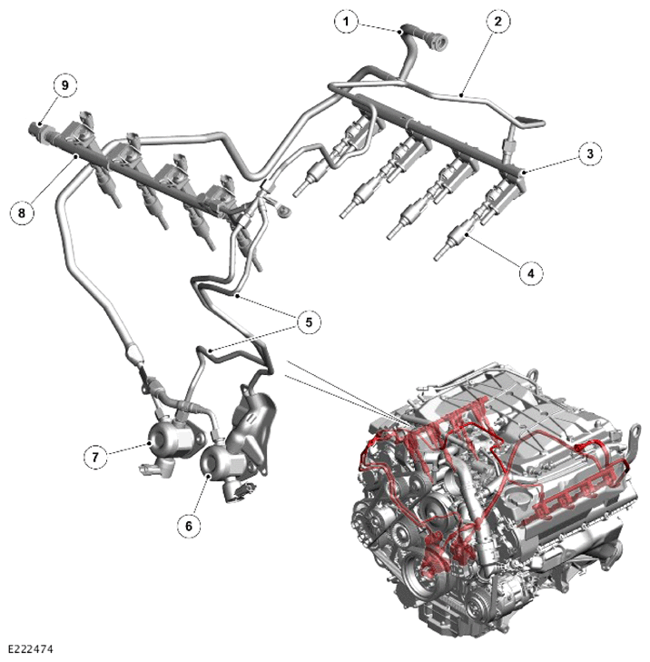 G15621382