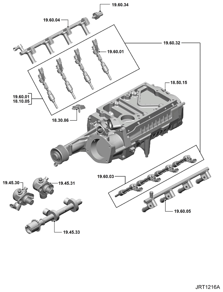 G15621494