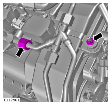 G15621509