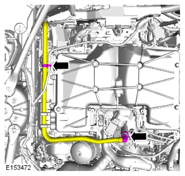 G15621548